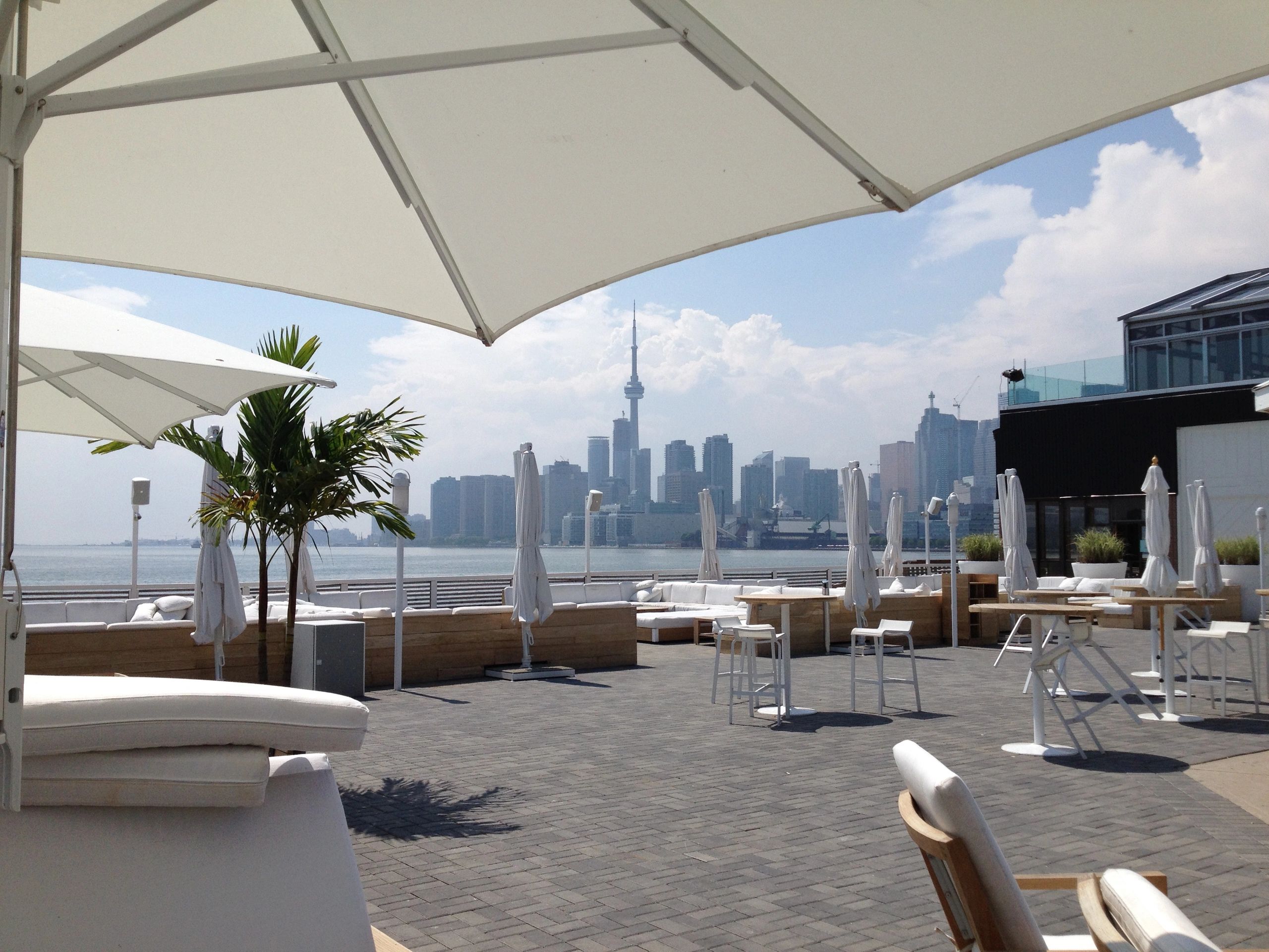 ONTARIO PALM TREES Palm Trees, Palm Trees, Ontario