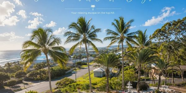 Scenic hilltop view with palm trees and ocean.