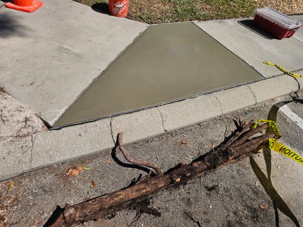 Freshly poured concrete section on sidewalk.