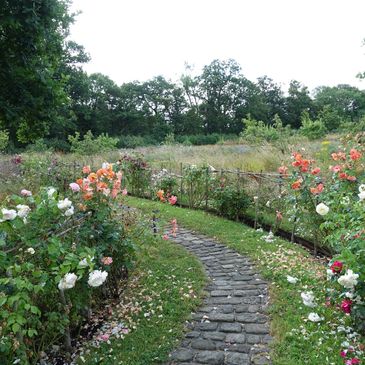 Rose garden with trees