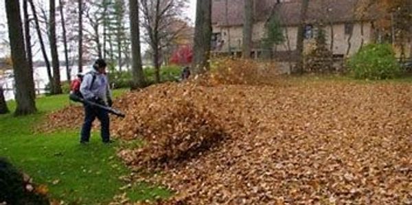 Fall leaf cleanup. leaf cleanup services in edina, mn, leaf blowing, leaf removal, leaf vacuum