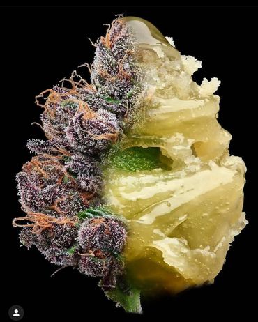 Half cannabis bud and half cannabis concentrate side by side.