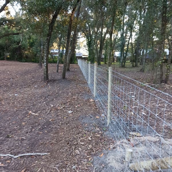 Field fence with wooden posts.