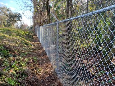 Galvanized 6' commercial grade chain link fence.