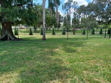 Black 4' chain link fence with a bottom rail.