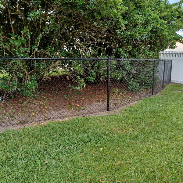 Black 4' chain link fence.