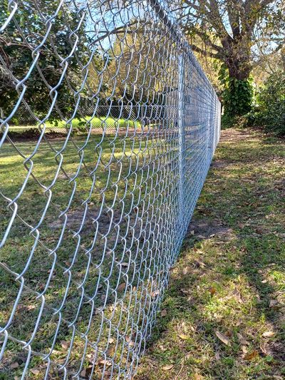 Galvanized 4' chain link fence.
