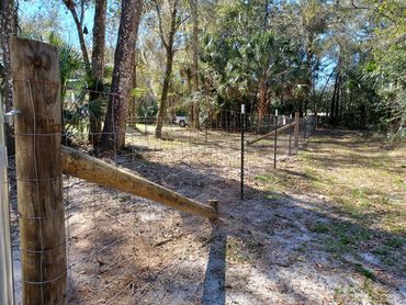 Field fence with wooden dead man bracing and T-posts.