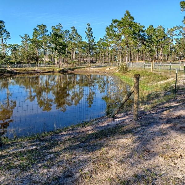 No-climb wire with wooden posts and T-posts.