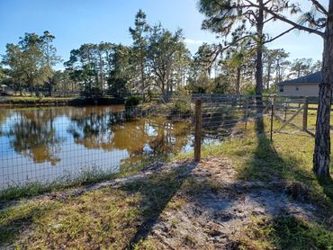 No-climb wire with wooden posts and T-posts.