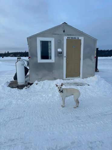 Extra Large Bungalow