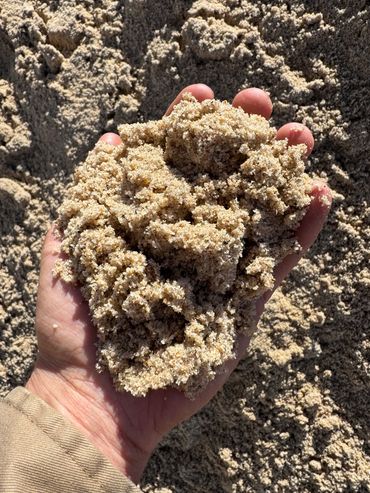 Hand holding a clump of wet sand under sunlight.