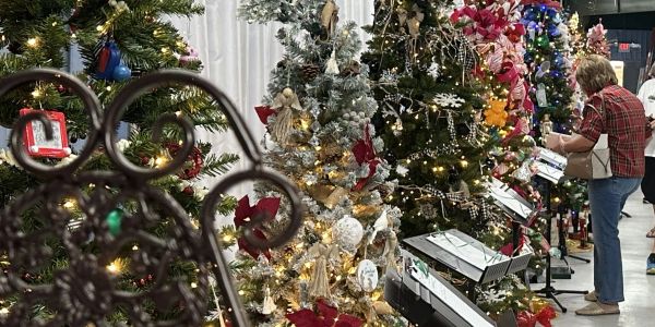 Indoor display of decorated Christmas trees with a person observing.