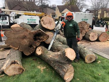 Worker with chainsaw next to large cut tree logs at a residential site by All Seasons Tree Services.