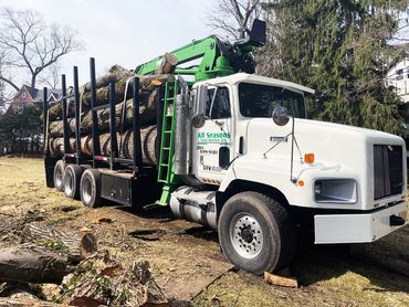 White truck loaded with large logs for transport by All Seasons Tree Services in NJ.
