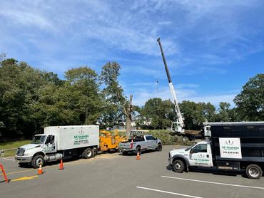 Fleet of service trucks and safety cones on a residential street by All Seasons Tree Services in NJ.