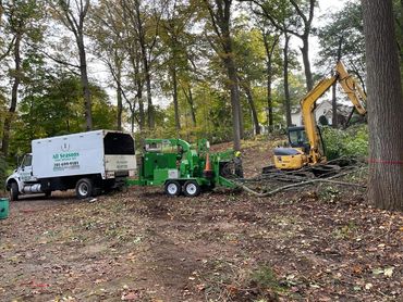 Excavator and dump truck preparing land for construction by All Seasons Tree Services in NJ.