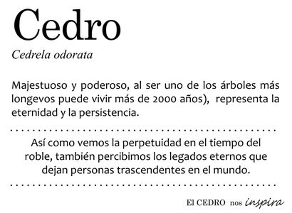 coworking medellin, coworking inspira, coworking belen, sala de juntas, meeting room