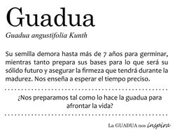 coworking, coworking medellin, puestos flexibles, diseños verdes, hot desk