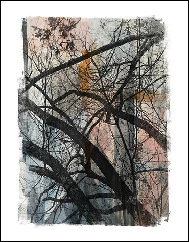 Black and white tree studies with textural background and specialty border, in the style of Japanese