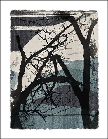 Black and white tree studies with textural background and specialty border, in the style of Japanese