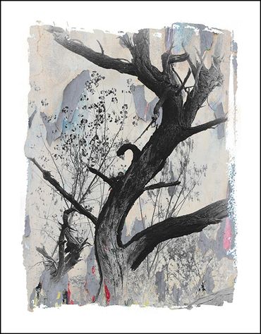 Black and white tree studies with textural background and specialty border, in the style of Japanese