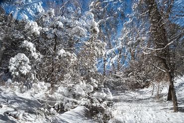 Exploring a snowy trail utilizing slow shutter, double exposure and intentional camera motion.