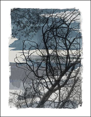 Black and white tree studies with textural background and specialty border, in the style of Japanese