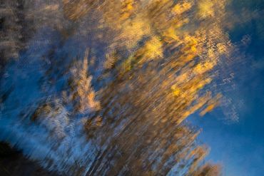 Fall color studies along the Santa Fe River West. Slow shutter, double exposure and intentional came
