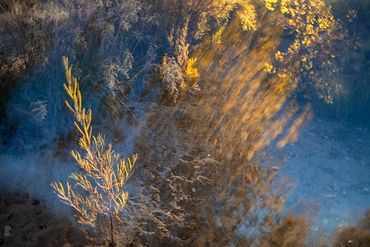 Fall color studies along the Santa Fe River West. Slow shutter, double exposure and intentional came