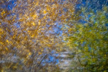 Fall color studies along the Santa Fe River West. Slow shutter, double exposure and intentional came