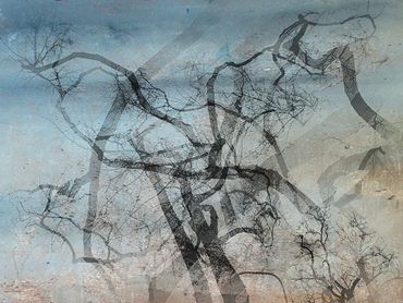 Winter tree studies with double exposure, added textures.