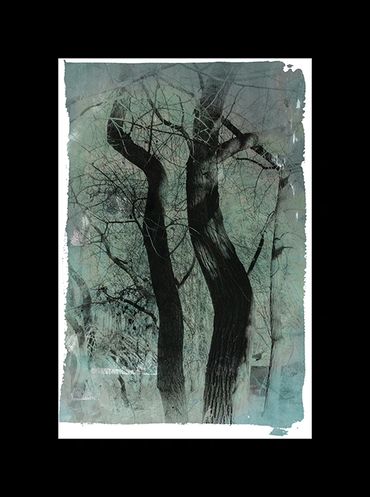 Winter tree studies in black and white with added textural backgrounds and special borders.