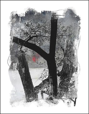 Black and white tree studies with textural background and specialty border, in the style of Japanese