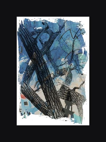 Black and White images of winter trees with textural backgrounds and borders.