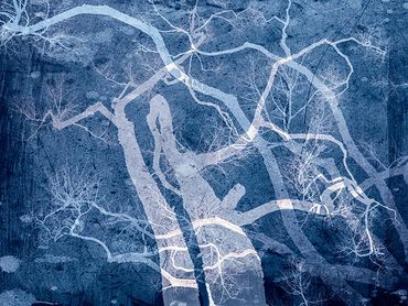 Winter tree studies with double exposure, added textures.