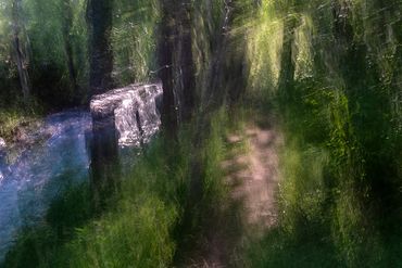 Summer Tree Studies using slow shutter speeds and intentional camera motion to create a more painter