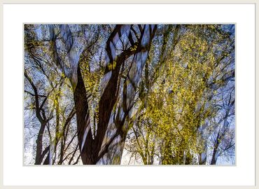 Burst of Gold