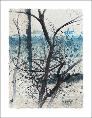 Black and white tree studies with textural background and specialty border inspired by Japanese wood