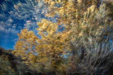 Fall color studies along the Santa Fe River West. Slow shutter, double exposure and intentional came