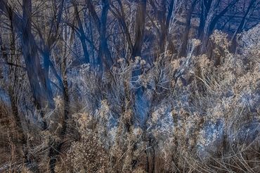 Winter color using slow shutter, double exposure.