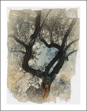 Black and white tree studies with textural background and specialty border, in the style of Japanese