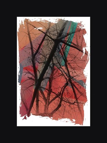 Black and White images of winter trees with textural backgrounds and borders.