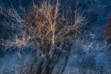 Winter color using slow shutter, double exposure.