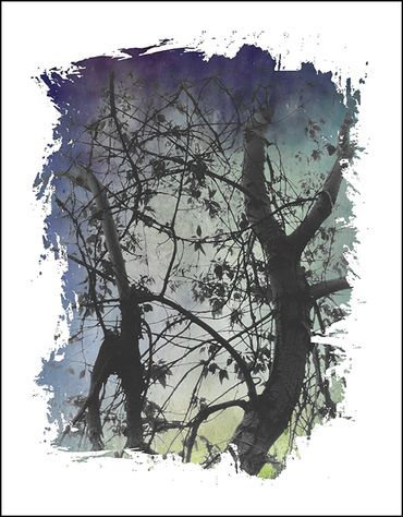 Black and white tree studies with textural background and specialty border inspired by Japanese wood