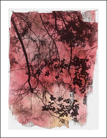 Black and white tree studies with textural background and specialty border inspired by Japanese wood