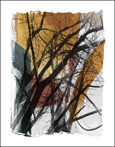 Black and white tree studies with textural background and specialty border, in the style of Japanese