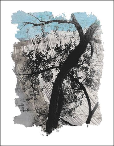 Black and white tree studies with textural background and specialty border, in the style of Japanese