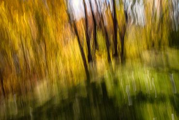 Fall color studies along the Santa Fe River using slow shutter speed and intentional camera movement