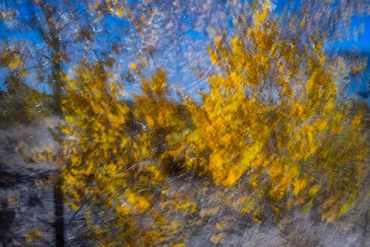 Fall color studies along the Santa Fe River West. Slow shutter, double exposure and intentional came